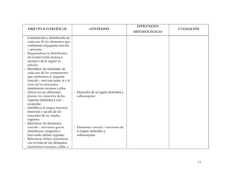 OBJETIVOS ESPECÍFICOS CONTENIDO
ESTRATEGIAS
METODOLÓGICAS
EVALUACIÓN
Culminación y distribución de
cada uno de los elementos que
conforman el paquete vasculo
– nervioso.
- Esquematizar la distribución
de la inervación motora y
sensitiva de la región en
estudio.
- Identificar las relaciones de
cada uno de los componentes
que conforman el paquete
vasculo – nervioso entre sí y el
resto de los elementos
anatómicos cercanos a ellos.
- Ubicar en sus diferentes
planos, los músculos de las
regiones deltoidea y sub –
escapular.
- Identificar el origen, trayecto,
inserción y acción de los
músculos de las citadas
regiones.
- Identificar los elementos
vasculo – nerviosos que se
distribuyen, irrigando e
inervando dichas regiones.
- Relacionar dichas estructuras
con el resto de los elementos
anatómicos cercanos a ellas, a
- Músculos de la región deltoidea y
subescapular.
- Elementos vasculo – nerviosos de
la región deltoidea y
subescapular.
13
 