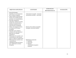 OBJETIVOS ESPECÍFICOS CONTENIDO
ESTRATEGIAS
METODOLÓGICAS
EVALUACIÓN
Nivel del hombro.
- Identificar las articulaciones
de la cintura escapular.
- Ubicar dichas articulaciones
dentro de la clasificación de
acuerdo a sus características.
- Describir superficies
articulares, medios de unión,
medios de armonización y
mecánica articular en las
articulaciones estudiadas.
- Ubicar, sin margen de error,
los huesos de la cintura
escapular.
- Describir caras, bordes y
extremos de estos huesos al
igual que sus detalles
anatómicos.
- Diferenciar, de acuerdo a sus
características, estos huesos
entre sí, según la clasificación.
- Diferenciar de acuerdo a sus
características,
radiológicamente los huesos
que conforman la cintura
escapular.
- Articulación escapulo – humeral,
articulación acromio – clavicular.
- Huesos de la cintura escapular:
Escápula, clavícula, húmero.
- Radiología normal de:
ƒ Escápula
ƒ Clavícula.
ƒ Húmero.
Articulación escapulo –
humeral.
14
 
