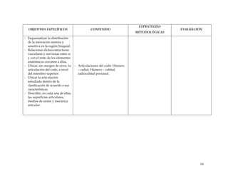 OBJETIVOS ESPECÍFICOS CONTENIDO
ESTRATEGIAS
METODOLÓGICAS
EVALUACIÓN
- Esquematizar la distribución
de la inervación motora y
sensitiva en la región braquial.
- Relacionar dichas estructuras
vasculares y nerviosas entre sí
y con el resto de los elementos
anatómicos cercanos a ellas.
- Ubicar, sin margen de error, la
articulación del codo, a nivel
del miembro superior.
- Ubicar la articulación
estudiada dentro de la
clasificación de acuerdo a sus
características.
- Describir, en cada una de ellas,
las superficies articulares,
medios de unión y mecánica
articular.
- Articulaciones del codo: Húmero
– radial, Húmero – cubital,
radiocubital proximal.
16
 
