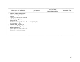 OBJETIVOS ESPECÍFICOS CONTENIDO
ESTRATEGIAS
METODOLÓGICAS
EVALUACIÓN
- Describir superficies articulares,
medios de unión y mecánica
articular.
- Ubicar dicha articulación dentro de
la clasificación según sus
características.
- Identificar, sin margen de error, el
hueso astrágalo o talo.
- Describir caras, bordes de los
huesos en estudio al igual que sus
detalles anatómicos.
- Ubicar este hueso en la clasificación
de acuerdo a sus características.
- Talo (astrágalo).
28
 