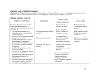 UNIDAD VIII. SISTEMA NERVIOSO.
Objetivo de la Unidad: Una vez concluida esta unidad, el estudiante al disecar, estará en capacidad de identificar, situar y
relacionar cada uno de los elementos anatómicos que integran el sistema nervioso central en su conjunto.
TEMA 1: MEDULA ESPINAL
OBJETIVOS ESPECÍFICOS CONTENIDO
ESTRATEGIAS
METODOLÓGICAS
EVALUACIÓN
El alumno al disecar, basado en los
conocimientos adquiridos en el
desarrollo del presente tema, estará en
capacidad de:
- Ubicar la medula espinal en el
cuerpo humano y en especial en la
columna vertebral.
- Identificar, la configuración exterior
del segmento en estudio.
- Identificar las relaciones de esta, a
nivel del espacio perimedular.
- Ubicar los diferentes núcleos a nivel
de la sustancia gris en el segmento
mencionado.
- Identificar la significación de los
núcleos estudiados.
- Ubicar en cortes de medula: Tractus
y fascículos ascendentes,
descendentes, y de asociación en los
tres funículos, indicando su
significación.
- Describir la sistematización laminar.
- Identificar la irrigación arterial y
venosa de la medula espinal.
- Configuración de la medula
espinal.
- Sistematización laminar.
- Irrigación de la medula
espinal.
- Presentación de los
objetivos del tema.
- Exposición general
teórico – práctica del
tema en su conjunto.
- Orientación en las
disecciones realizadas
por los alumnos
distribuidos en grupos.
- Proyección de películas y
otros medios
audiovisuales contentivos
del tema.
Recursos: Pizarrón, equipo
de video, diapositivas,
modelos anatómicos:
maniquíes, cadáveres y
piezas anatómicas. Revisión
bibliográfica.
- Participación en la
demostración teórico
práctica.
- Participación activa en
la disección de piezas
anatómicas.
- Elaboración de dibujos
o esquemas contentivos
del tema.
55
 
