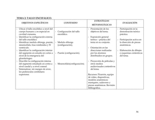 TEMA 2: TALLO ENCEFALICO.
OBJETIVOS ESPECÍFICOS CONTENIDO
ESTRATEGIAS
METODOLÓGICAS
EVALUACIÓN
- Ubicar el tallo encefálico a nivel del
cuerpo humano y en especial en
cavidad craneana.
- Identificar la configuración externa
del tallo encefálico.
- Identificar medula oblonga, puente,
mesencéfalo, fosa romboidea y IV
ventriculo.
- Identificar la configuración interior
del segmento en estudio en cortes a
nivel de la emergencia del
glosofaríngeo.
- Describir la configuración interna
del segmento estudiado en cortes a
nivel caudal y a nivel craneal.
- Sistematizar, sin margen de error,
los pedúnculos cerebelares
superiores.
- Configuración del tallo
encefálico.
- Medula oblonga
(configuración).
- Puente (configuración).
- Mesencéfalo(configuración).
- Presentación de los
objetivos del tema.
- Exposición general
teórico – práctica del
tema en su conjunto.
- Orientación en las
disecciones realizadas
por los alumnos
distribuidos en grupos.
- Proyección de películas y
otros medios
audiovisuales contentivos
del tema.
Recursos: Pizarrón, equipo
de video, diapositivas,
modelos anatómicos:
maniquíes, cadáveres y
piezas anatómicas. Revisión
bibliográfica.
- Participación en la
demostración teórico
práctica.
- Participación activa en
la disección de piezas
anatómicas.
- Elaboración de dibujos
o esquemas contentivos
del tema.
56
 