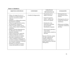 TEMA 4: CEREBELO.
OBJETIVOS ESPECÍFICOS CONTENIDO
ESTRATEGIAS
METODOLÓGICAS
EVALUACIÓN
- Ubicar, sin margen de error, el
cerebelo en el cuerpo humano, en
especial a nivel de la cavidad
craneana.
- Identificar la configuración exterior
del elemento estudiado.
- Ubicar los segmentos del vermis y
los hemisferios cerebelosos.
- Ubicar los polos, lóbulos, gyrus,
surcos y fisuras sobres la superficie
cerebelosa.
- Definir la división filogenética de
las diferentes porciones del
elemento estudiado.
- Ubicar el techo del IV ventrículo.
- Ubicar los diferentes núcleos a
nivel de la estructura en estudio.
- Describir la arquitectura de la
corteza cerebelosa al igual que los
circuitos excitadores e inhibidores y
las conexiones aferentes y eferentes
de la corteza cerebelosa.
- Identificar la irrigación arterial y
venosa del elemento en estudio.
- Cerebelo (Configuración).
- Presentación de los
objetivos del tema.
- Exposición general
teórico – práctica del
tema en su conjunto.
- Orientación en las
disecciones realizadas
por los alumnos
distribuidos en grupos.
- Proyección de películas y
otros medios
audiovisuales contentivos
del tema.
Recursos: Pizarrón, equipo
de video, diapositivas,
modelos anatómicos:
maniquíes, cadáveres y
piezas anatómicas. Revisión
bibliográfica.
- Participación en la
demostración teórico
práctica.
- Participación activa en
la disección de piezas
anatómicas.
- Elaboración de dibujos
o esquemas contentivos
del tema.
58
 