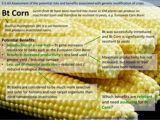 https://commons.wikimedia.org/wiki/File:VegCorn.jpg
3.5.A3 Assessment of the potential risks and benefits associated with genetic modification of crops.
Bt Corn
Bacillus thuringiensis (Bt) is a soil bacterium
that produces insecticidal toxins.
Genes from Bt have been inserted into maize so GM plants can produce an
insecticidal toxin and therefore be resistant to pests, e.g. European Corn Borer.
Potential Benefits:
• Introduction of a new trait – Bt gene increases
resistance to pests such as the European Corn Borer
• Results in increased productivity – less land used /
greater yield / less crop damage
• Less use of chemical pesticides – reduced cost /
reduced ecological damage
Which benefits are relevant
and need assessing for Bt
Corn?
Bt toxins are considered to be much more selective
and safer for humans and non-target organisms than
most conventional insecticides
Bt was successfully introduced
and Bt Corn is significantly more
resistant to pests
Maximum productivity has not
increased, but losses in ‘bad’
years have been reduced.
 