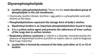 3. Lipids PPT,.pdf