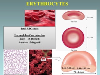 Total Rbc RBC DISORDERS.ppt
