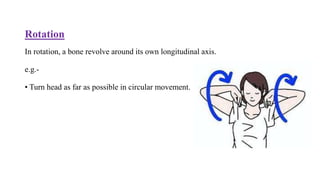 Circular Articular Rotation Example Range of Motions | PPTX