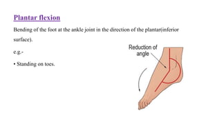 Range of Motions | PPTX