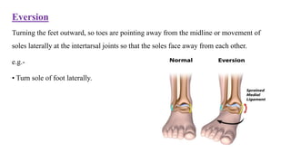 Range of Motions | PPT