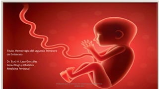 Titulo. Hemorragia del segundo Trimestre
de Embarazo
Dr. Esaú A. Lazo González
Ginecólogo y Obstetra
Medicina Perinatal
Protocolo para la atencion de complicaciones obstetricas.
MINSA 2022
 
