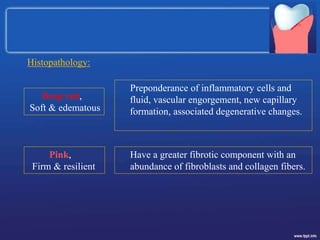 Preponderance of inflammatory cells and
fluid, vascular engorgement, new capillary
formation, associated degenerative changes.
Have a greater fibrotic component with an
abundance of fibroblasts and collagen fibers.
Deep red,
Soft & edematous
Pink,
Firm & resilient
Histopathology:
 