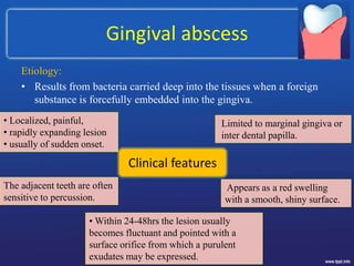 Gingival abscess
Etiology:
• Results from bacteria carried deep into the tissues when a foreign
substance is forcefully embedded into the gingiva.
Clinical features
• Localized, painful,
• rapidly expanding lesion
• usually of sudden onset.
Limited to marginal gingiva or
inter dental papilla.
Appears as a red swelling
with a smooth, shiny surface.
• Within 24-48hrs the lesion usually
becomes fluctuant and pointed with a
surface orifice from which a purulent
exudates may be expressed.
The adjacent teeth are often
sensitive to percussion.
 