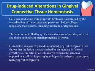 Drug-induced Alterations in Gingival
Connective Tissue Homeostasis
• Collagen production from gingival fibroblasts is controlled by the
co-ordination of transcripted and post-transplation collagen
regulatory mechanisms, including intracellular degradation.
• The latter is controlled by synthesis and release of metalloproteinase
and tissue inhibitors of metalloproteinase (TIMPs).
• Histometric analysis of phenytoin-induced gingival overgrowth has
shown that the lesion is characterized by an increase in "normal
growth" (i.e. the ratio of cells to matrix remains the same) as
opposed to a cellular hypertrophy or hyperplasia (hence the accepted
term gingival overgrowth
 