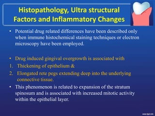 Histopathology, Ultra structural
Factors and Inflammatory Changes
• Potential drug related differences have been described only
when immune histochemical staining techniques or electron
microscopy have been employed.
• Drug induced gingival overgrowth is associated with
1. Thickening of epithelium &
2. Elongated rete pegs extending deep into the underlying
connective tissue.
• This phenomenon is related to expansion of the stratum
spinosum and is associated with increased mitotic activity
within the epithelial layer.
 