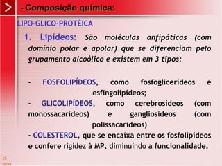 xx/xx
15
- Composição química:
LIPO-GLICO-PROTÉICA
1. Lipídeos: São moléculas anfipáticas (com
domínio polar e apolar) que se diferenciam pelo
grupamento alcoólico e existem em 3 tipos:
- FOSFOLIPÍDEOS, como fosfoglicerídeos e
esfingolipídeos;
- GLICOLIPÍDEOS, como cerebrosídeos (com
monossacarídeos) e gangliosídeos (com
polissacarídeos)
- COLESTEROL, que se encaixa entre os fosfolipídeos
e confere rigidez à MP, diminuindo a funcionalidade.
 