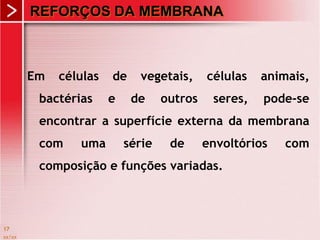 xx/xx
17
REFORÇOS DA MEMBRANA
Em células de vegetais, células animais,
bactérias e de outros seres, pode-se
encontrar a superfície externa da membrana
com uma série de envoltórios com
composição e funções variadas.
 