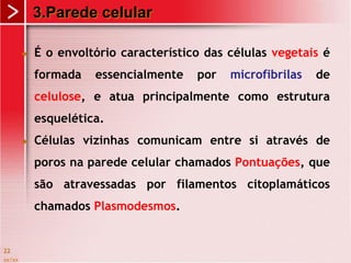 3.Parede celular
 É o envoltório característico das células vegetais é
formada essencialmente por microfibrilas de
celulose, e atua principalmente como estrutura
esquelética.
 Células vizinhas comunicam entre si através de
poros na parede celular chamados Pontuações, que
são atravessadas por filamentos citoplamáticos
chamados Plasmodesmos.
xx/xx
22
 