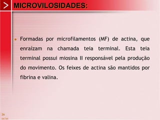 xx/xx
26
 Formadas por microfilamentos (MF) de actina, que
enraízam na chamada teia terminal. Esta teia
terminal possui miosina II responsável pela produção
do movimento. Os feixes de actina são mantidos por
fibrina e valina.
MICROVILOSIDADES:
 
