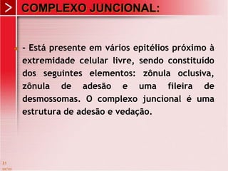 COMPLEXO JUNCIONAL:
 - Está presente em vários epitélios próximo à
extremidade celular livre, sendo constituído
dos seguintes elementos: zônula oclusiva,
zônula de adesão e uma fileira de
desmossomas. O complexo juncional é uma
estrutura de adesão e vedação.
xx/xx
31
 