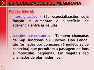 xx/xx
33
ESPECIALIZAÇÕES DE MEMBRANA
Porção lateral:
 Interdigitações - São especializações cuja
função é aumentar a superfície de
aderência entra as células.
 Junções comunicantes - Também chamadas
de Gap Junctions ou Junções Tipo Fenda,
são formadas por conexons (6 moléculas de
conexina) que permitem a passagem de íons
e moléculas pequenas. Em vegetais são
chamados de plasmodesmos.
 
