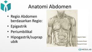 Anatomi Abdomen
• Regio Abdomen
berdasarkan Regio:
• Epigastrik
• Periumbilikal
• Hipogastrik/suprap
ubik
 