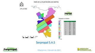 Villavicencio, 4 de abril de 2022
Serpropal S.A.S
 
