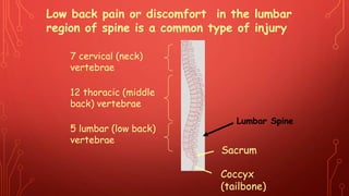 7 cervical (neck)
vertebrae
12 thoracic (middle
back) vertebrae
5 lumbar (low back)
vertebrae
Coccyx
(tailbone)
Low back pain or discomfort in the lumbar
region of spine is a common type of injury
Sacrum
Lumbar Spine
 