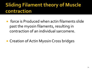  force is Produced when actin filaments slide
past the myosin filaments, resulting in
contraction of an individual sarcomere.
 Creation of Actin Myosin Cross bridges
34
 