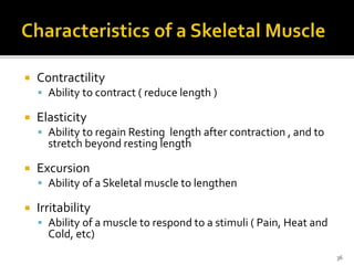  Contractility
 Ability to contract ( reduce length )
 Elasticity
 Ability to regain Resting length after contraction , and to
stretch beyond resting length
 Excursion
 Ability of a Skeletal muscle to lengthen
 Irritability
 Ability of a muscle to respond to a stimuli ( Pain, Heat and
Cold, etc)
36
 