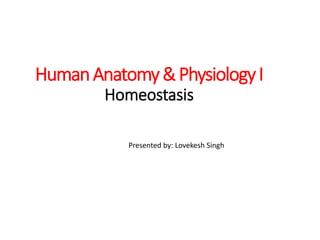 HumanAnatomy&PhysiologyI
Homeostasis
Presented by: Lovekesh Singh
 