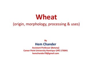 Wheat
(origin, morphology, processing & uses)
By
Hem Chander
Assistant Professor (Botany)
Career Point University Hamirpur (HP) 176041
hemchander78@gmail.com
 