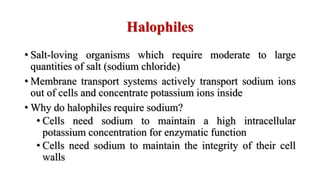 Halophiles
• Salt-loving organisms which require moderate to large
quantities of salt (sodium chloride)
• Membrane transport systems actively transport sodium ions
out of cells and concentrate potassium ions inside
• Why do halophiles require sodium?
• Cells need sodium to maintain a high intracellular
potassium concentration for enzymatic function
• Cells need sodium to maintain the integrity of their cell
walls
 
