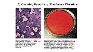 3. Microbial nutrition and growth (Microbiology)