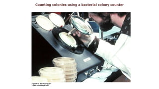 3. Microbial nutrition and growth (Microbiology)