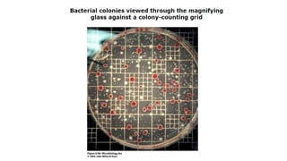 3. Microbial nutrition and growth (Microbiology)