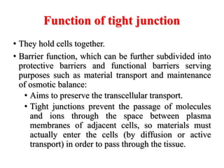 3. Structure and function of cell membrane (Biochemistry) | PPTX