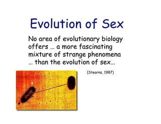Evolution of Sex
Evolution of Sex
No area of evolutionary biology
No area of evolutionary biology
offers
offers …
… a more fascinating
a more fascinating
mixture of strange phenomena
mixture of strange phenomena
…
… than the evolution of sex
than the evolution of sex…
…
(Stearns, 1987)
(Stearns, 1987)
 