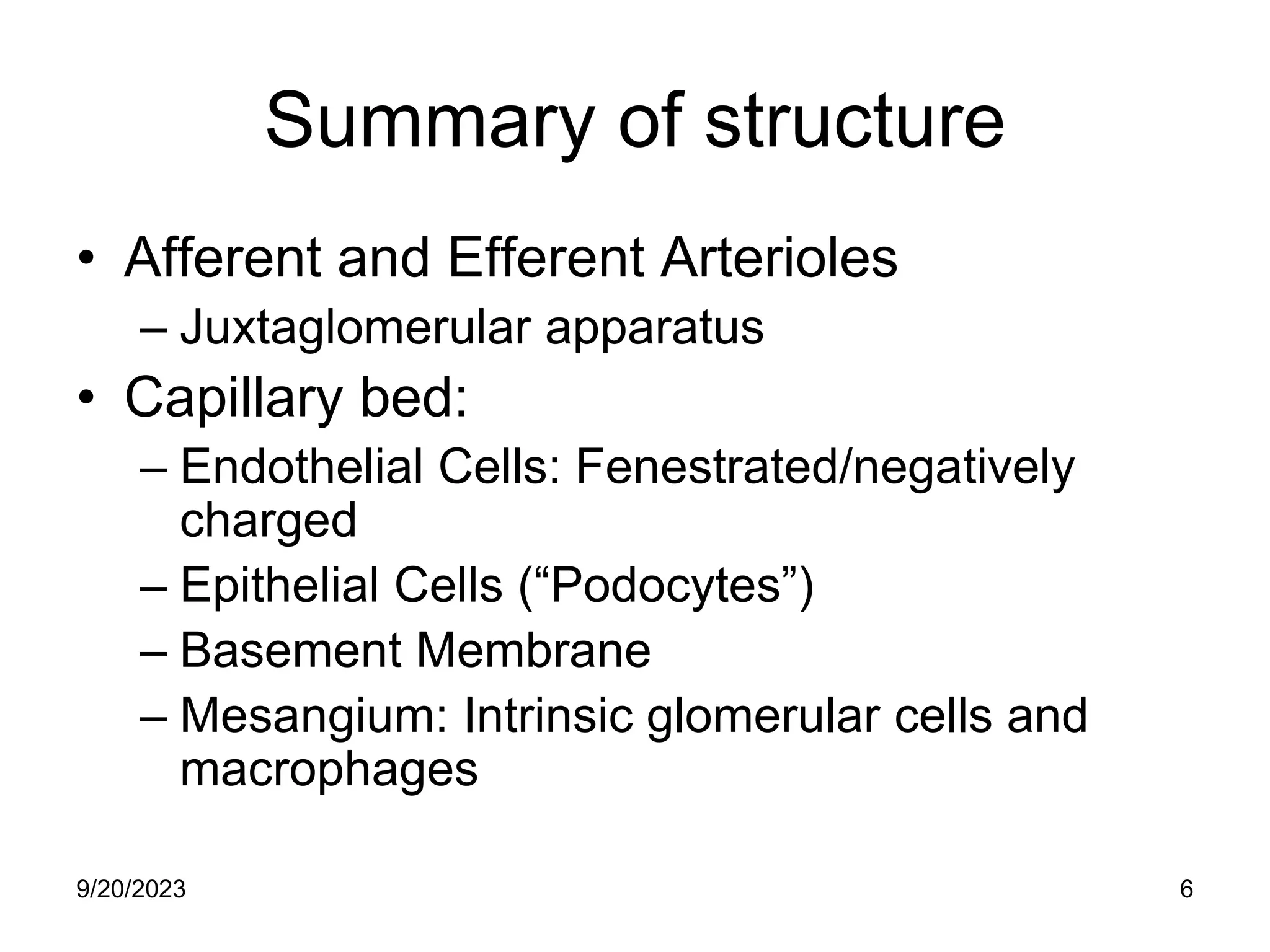 Summary of structure
• Afferent and Efferent Arterioles
– Juxtaglomerular apparatus
• Capillary bed:
– Endothelial Cells: Fenestrated/negatively
charged
– Epithelial Cells (“Podocytes”)
– Basement Membrane
– Mesangium: Intrinsic glomerular cells and
macrophages
9/20/2023 6
 