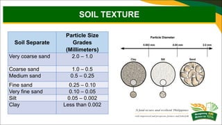 3. Soil Texture Determination through Feel Method.pdf