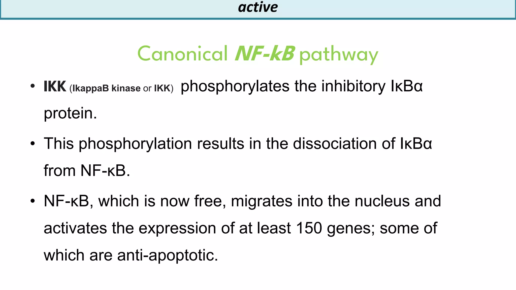 Nf-kB signalling pathway / role of Nf-kB in immunity |canonical and non ... 