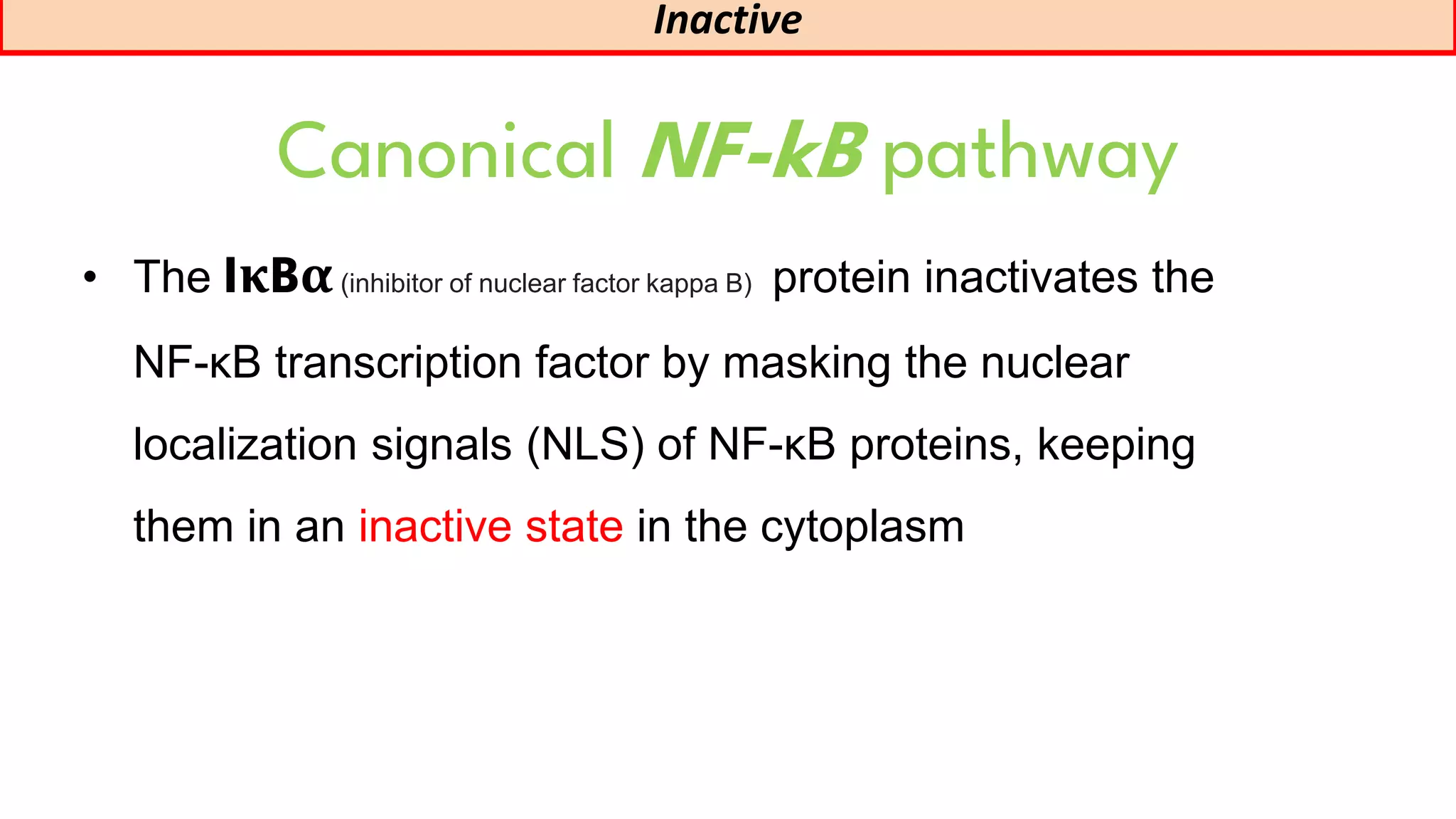 Nf-kB signalling pathway / role of Nf-kB in immunity |canonical and non ... 