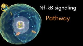 Nf-kB signaling
Pathway
 