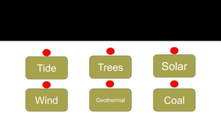 Tide
Coal
Geothermal
Wind
Trees Solar
 