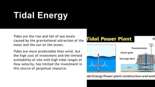 Tidal Energy
Tides are the rise and fall of sea levels
caused by the gravitational attraction of the
moon and the sun on the ocean.
Tides are more predictable than wind, but
the high cost of investment and the limited
availability of site with high tidal ranges of
flow velocity, has limited the investment in
this source of perpetual resource.
 