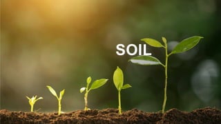 SOIL
 