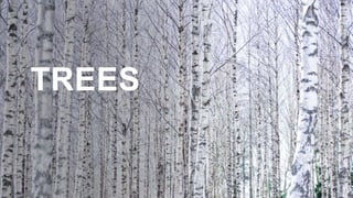 TREES
 