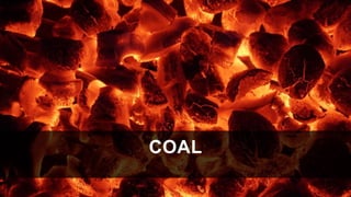 COAL
 