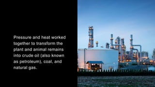 Pressure and heat worked
together to transform the
plant and animal remains
into crude oil (also known
as petroleum), coal, and
natural gas.
 