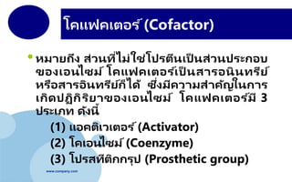 www.company.com
โคแฟคเตอร ์(Cofactor)
•หมายถึง ส่วนที่ไม่ใช่โปรตีนเป็ นส่วนประกอบ
ของเอนไซม์ โคแฟคเตอร ์เป็ นสารอนินทรีย์
หรือสารอินทรีย์ก็ได้ ซึ่งมีความสาคัญในการ
เกิดปฏิกิริยาของเอนไซม์ โคแฟคเตอร ์มี 3
ประเภท ดังนี้
(1) แอคติเวเตอร ์(Activator)
(2) โคเอนไซม์(Coenzyme)
(3) โปรสทีติกกรุป (Prosthetic group)
 