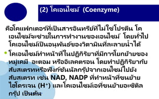 www.company.com
คือโคแฟกเตอร ์ที่เป็ นสารอินทรีย์ที่ไม่ใช่โปรตีน โค
เอนไซม์จะช่วยในการทางานของเอนไซม์ โดยทั่วไป
โคเอนไซม์เป็ นอนุพันธ ์ของวิตามินที่ละลายน้าได้
•โคเอนไซม์ทาหน้าที่ในปฏิกิริยาที่มีการโยกย้ายของ
หมู่เคมี อะตอม หรืออิเลคตรอน โดยทาปฏิกิริยากับ
สับสเตรทหรือฟังก์ชันนัลกรุ๊ปจากเอนไซม์ไปยัง
สับสเตรท เช่น NAD, NADP ที่ทาหน้าที่ขนย้าย
ไฮโดรเจน (H+) และโคเอนไซม์เอที่ขนย้ายอะซิติล
กรุ๊ป เป็ นต้น
(2) โคเอนไซม์ (Coenzyme)
 